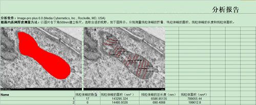 電鏡測量分析